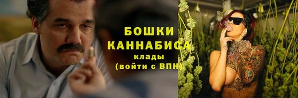 ECSTASY Липки