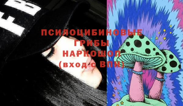ECSTASY Липки