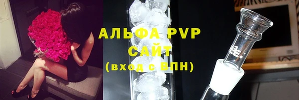 шишки Магас