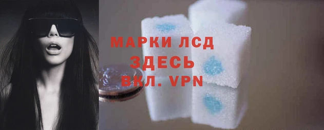 ECSTASY Липки