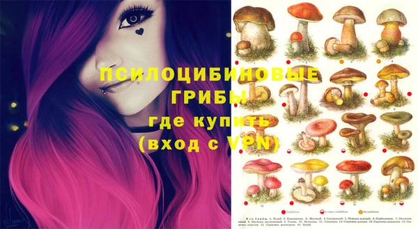 ECSTASY Липки